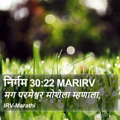 निर्गम 30:22 MARIRV Bible Verse Image