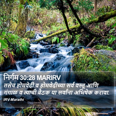 निर्गम 30:28 MARIRV Bible Verse Image