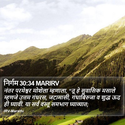 निर्गम 30:34 MARIRV Bible Verse Image