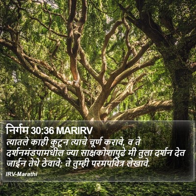 निर्गम 30:36 MARIRV Bible Verse Image