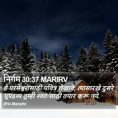 निर्गम 30:37 MARIRV Bible Verse Image