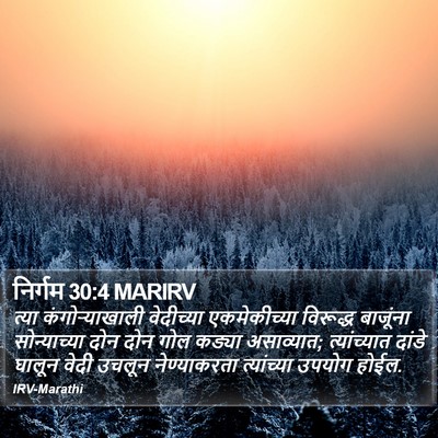 निर्गम 30:4 MARIRV Bible Verse Image