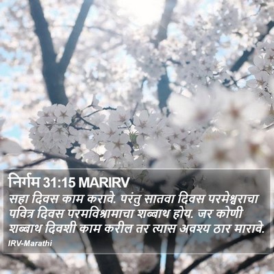 निर्गम 31:15 MARIRV Bible Verse Image
