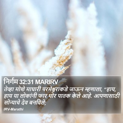 निर्गम 32:31 MARIRV Bible Verse Image