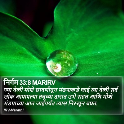 निर्गम 33:8 MARIRV Bible Verse Image