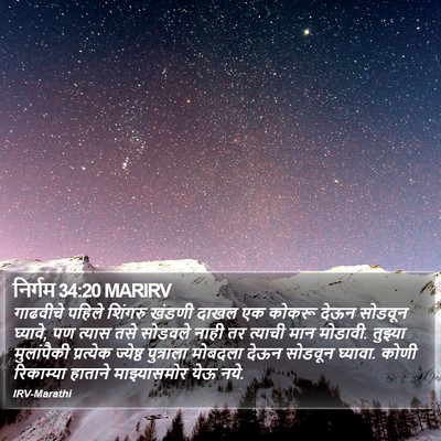 निर्गम 34:20 MARIRV Bible Verse Image
