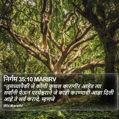 निर्गम 35:10 MARIRV Bible Verse Image
