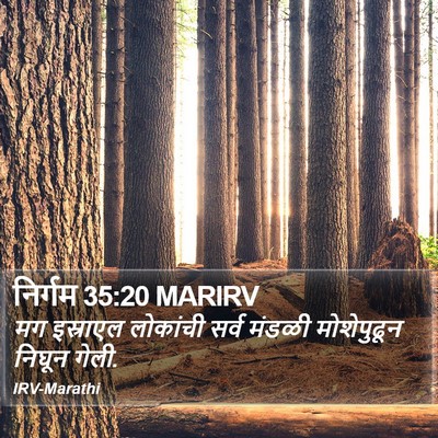 निर्गम 35:20 MARIRV Bible Verse Image
