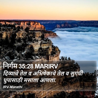 निर्गम 35:28 MARIRV Bible Verse Image