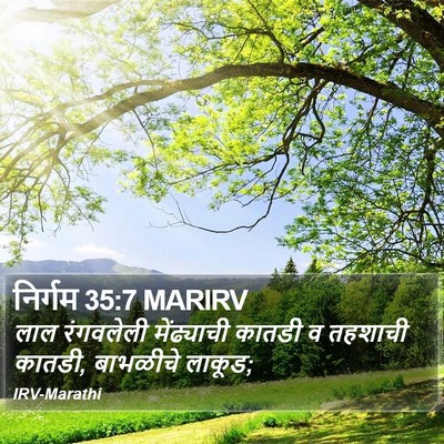 निर्गम 35:7 MARIRV Bible Verse Image