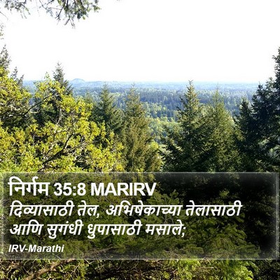 निर्गम 35:8 MARIRV Bible Verse Image