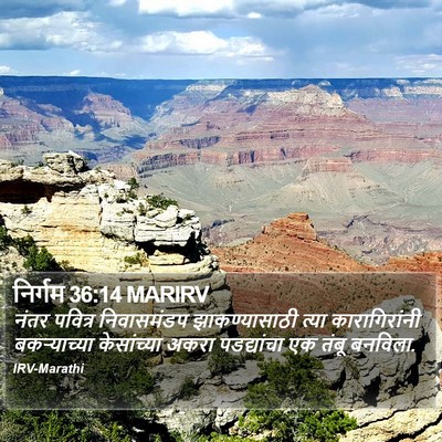 निर्गम 36:14 MARIRV Bible Verse Image