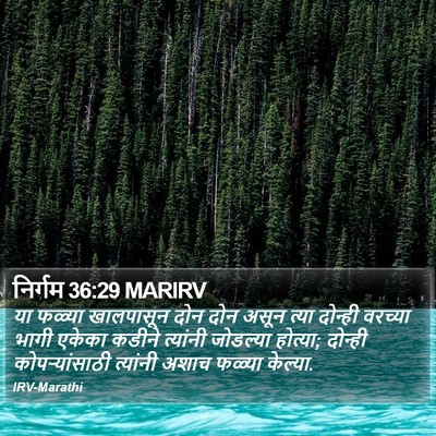 निर्गम 36:29 MARIRV Bible Verse Image