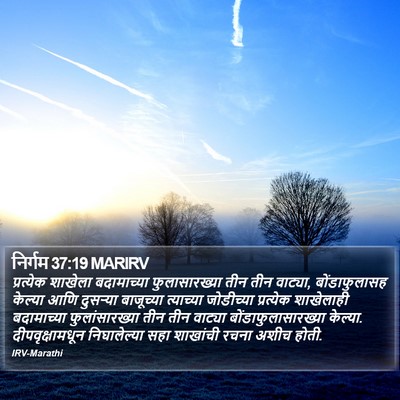 निर्गम 37:19 MARIRV Bible Verse Image
