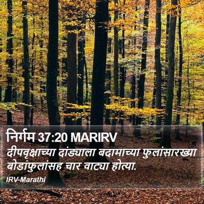 निर्गम 37:20 MARIRV Bible Verse Image