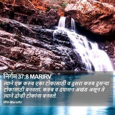 निर्गम 37:8 MARIRV Bible Verse Image