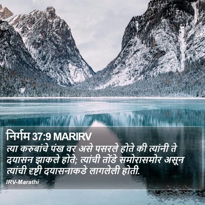 निर्गम 37:9 MARIRV Bible Verse Image