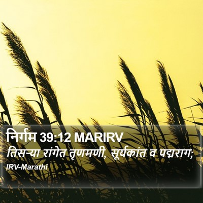 निर्गम 39:12 MARIRV Bible Verse Image