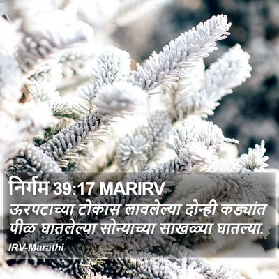 निर्गम 39:17 MARIRV Bible Verse Image