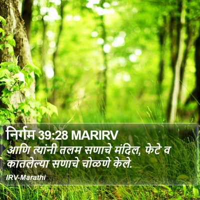 निर्गम 39:28 MARIRV Bible Verse Image