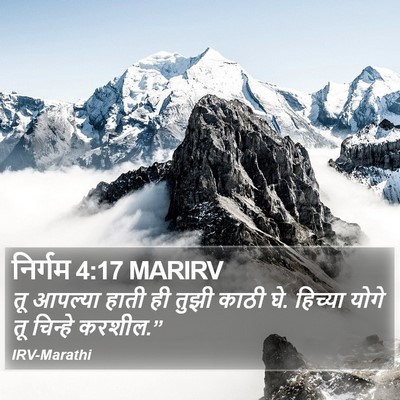 निर्गम 4:17 MARIRV Bible Verse Image