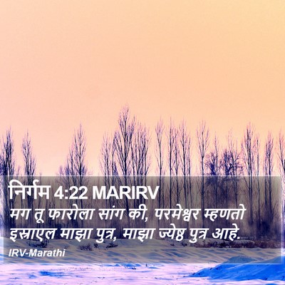 निर्गम 4:22 MARIRV Bible Verse Image