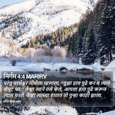 निर्गम 4:4 MARIRV Bible Verse Image