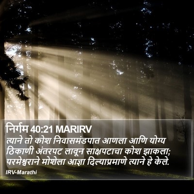 निर्गम 40:21 MARIRV Bible Verse Image
