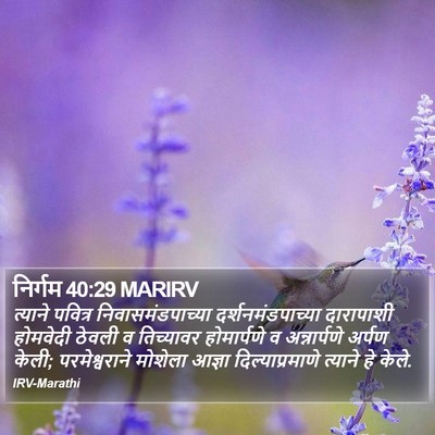 निर्गम 40:29 MARIRV Bible Verse Image