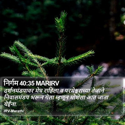 निर्गम 40:35 MARIRV Bible Verse Image