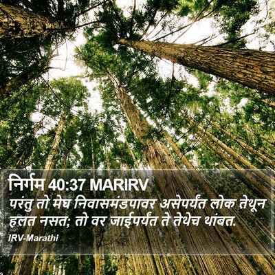 निर्गम 40:37 MARIRV Bible Verse Image