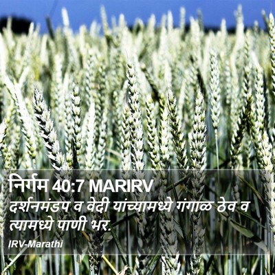 निर्गम 40:7 MARIRV Bible Verse Image