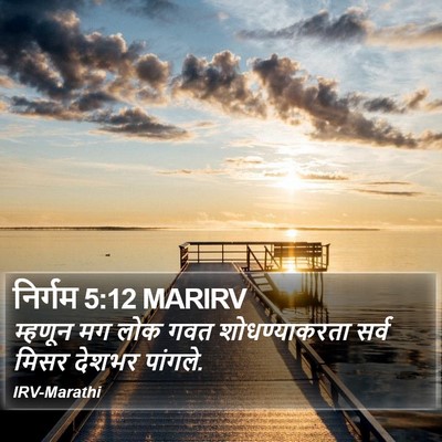 निर्गम 5:12 MARIRV Bible Verse Image