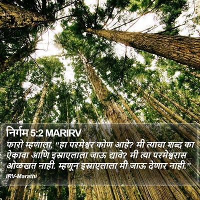निर्गम 5:2 MARIRV Bible Verse Image