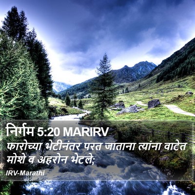 निर्गम 5:20 MARIRV Bible Verse Image