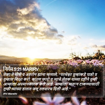 निर्गम 5:21 MARIRV Bible Verse Image