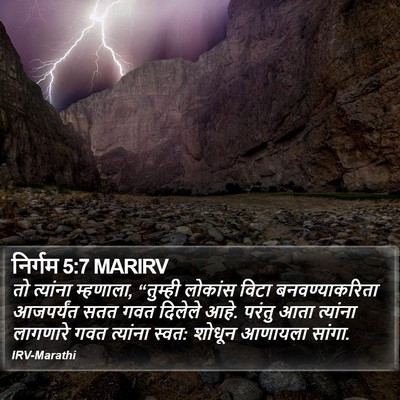 निर्गम 5:7 MARIRV Bible Verse Image