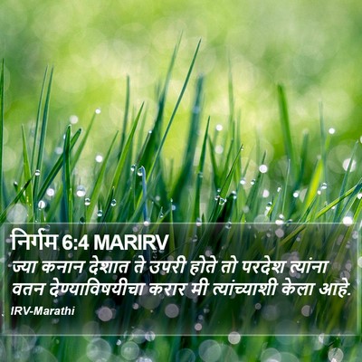 निर्गम 6:4 MARIRV Bible Verse Image