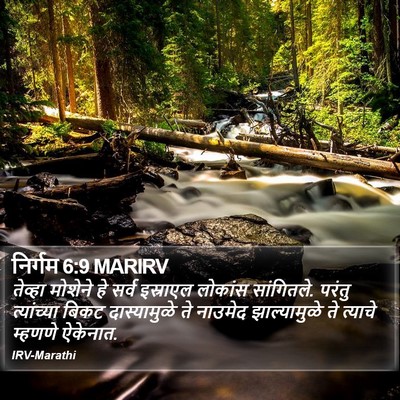 निर्गम 6:9 MARIRV Bible Verse Image