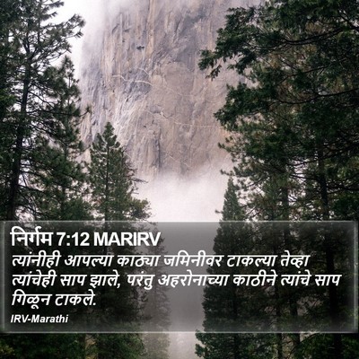 निर्गम 7:12 MARIRV Bible Verse Image
