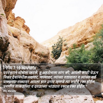निर्गम 7:19 MARIRV Bible Verse Image