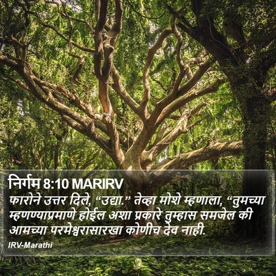 निर्गम 8:10 MARIRV Bible Verse Image