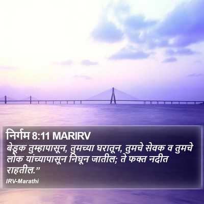 निर्गम 8:11 MARIRV Bible Verse Image