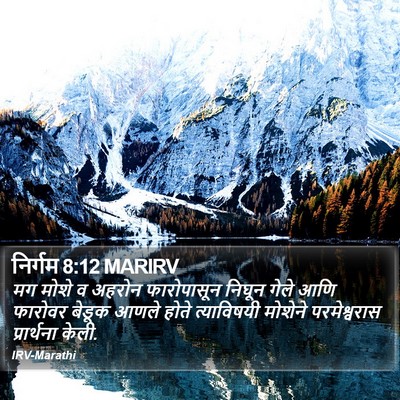 निर्गम 8:12 MARIRV Bible Verse Image