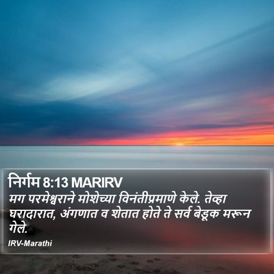 निर्गम 8:13 MARIRV Bible Verse Image