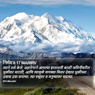 निर्गम 8:17 MARIRV Bible Verse Image