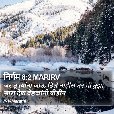 निर्गम 8:2 MARIRV Bible Verse Image