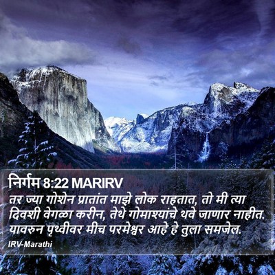 निर्गम 8:22 MARIRV Bible Verse Image