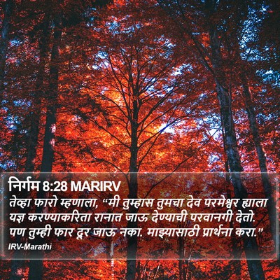 निर्गम 8:28 MARIRV Bible Verse Image