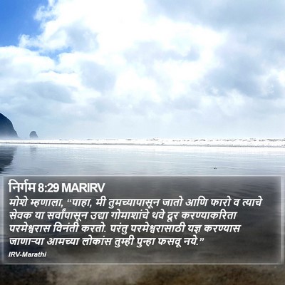 निर्गम 8:29 MARIRV Bible Verse Image